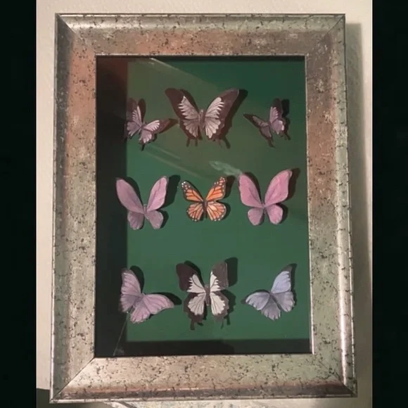 NEW ORIGINAL CUSTOM BUTTERFLY DISPLAY CASE ORDERS - Picture 5 of 6